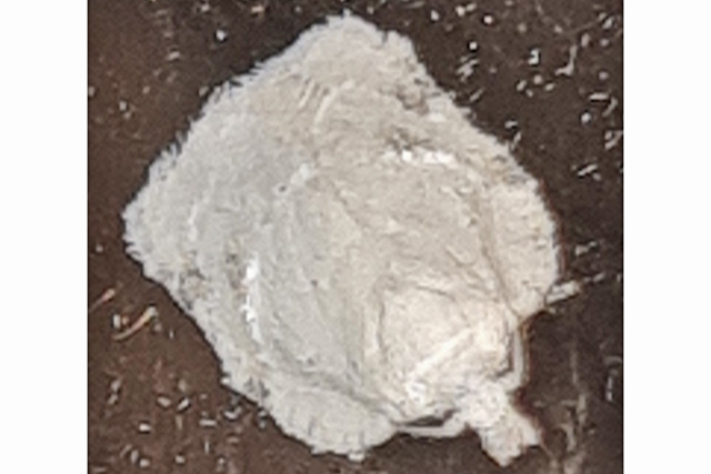 Witte Boogbladroller